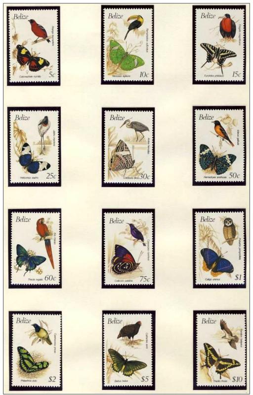 Name:  52-BELIZE 1990 BIRDS AND BUTTERFLIES MNH - 800K.jpg
Views: 859
Size:  74.9 KB