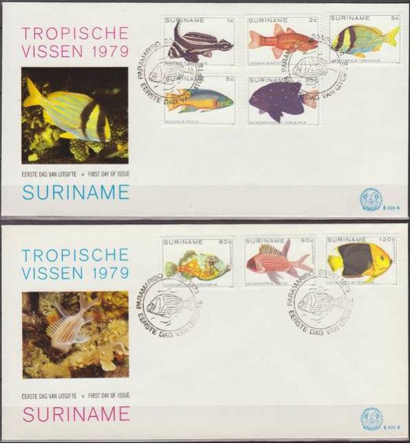 Name:  w8-Suriname 1979-64k.jpg
Views: 699
Size:  54.5 KB