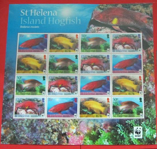 Name:  74- WWF 2011 ST HELENA - 400K.jpg
Views: 841
Size:  57.3 KB