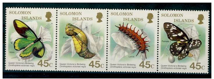 Name:  90-SOLOMON ISLES 1987 BUTTERFLIES MNH- 160k.jpg
Views: 433
Size:  99.5 KB