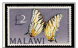 Name:  94- MALAWI 1964 £2 BUTTERFLY LH MINT- 190k.jpg
Views: 611
Size:  43.6 KB