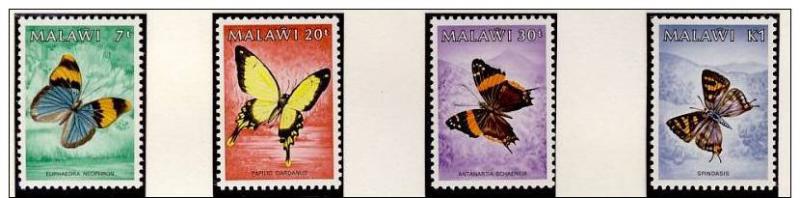 Name:  95- MALAWI 1984 BUTTERFLIES MNH- 140k.jpg
Views: 799
Size:  33.4 KB