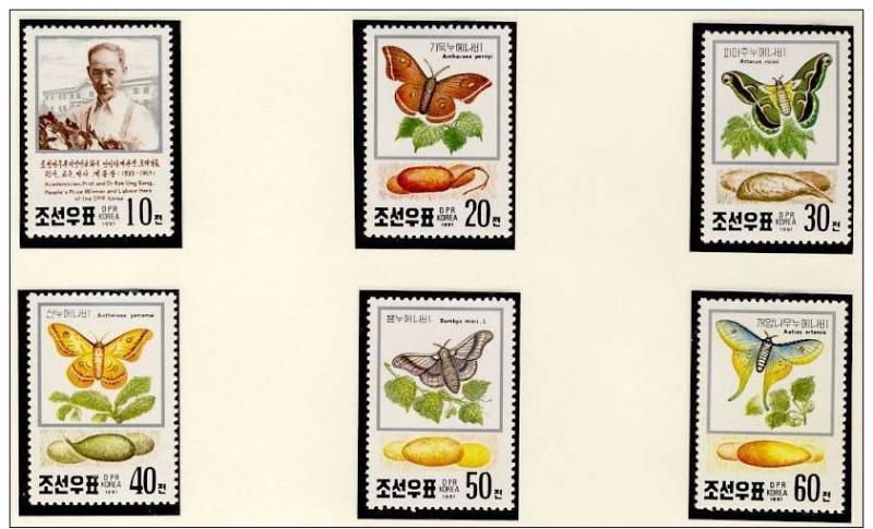 Name:  105 -KOREA NORTH 1991 BUTTERFLIES MNH- 77k.jpg
Views: 652
Size:  66.9 KB