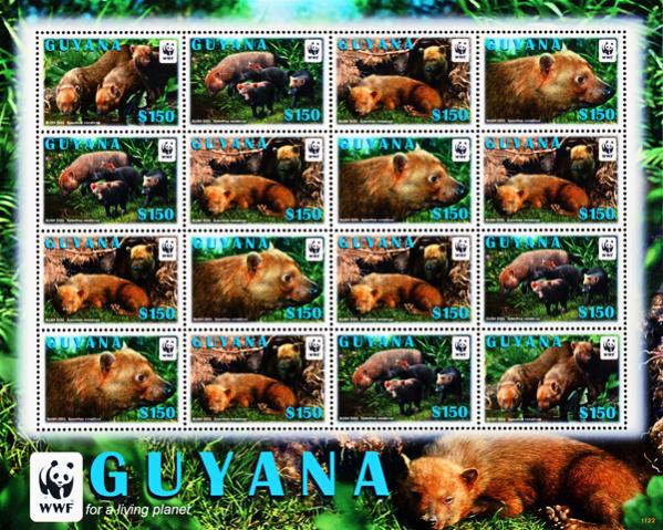 Name:  w31-Guyana 2011_MS4S_375k.jpg
Views: 244
Size:  91.6 KB