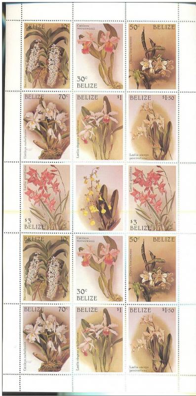 Name:  171- belize orchids - 305k.jpg
Views: 211
Size:  67.6 KB