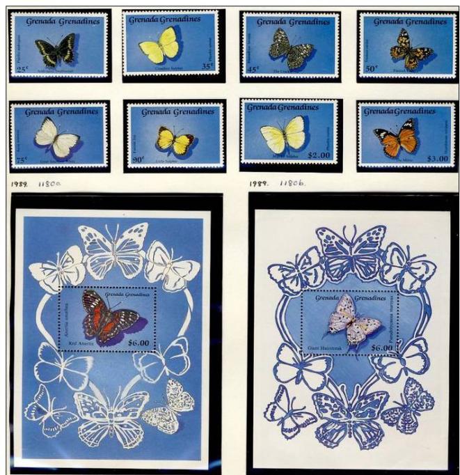 Name:  221-GRENADINES OF GRENADA 1989 BUTTERFLIES MNH -450k.jpg
Views: 182
Size:  98.3 KB