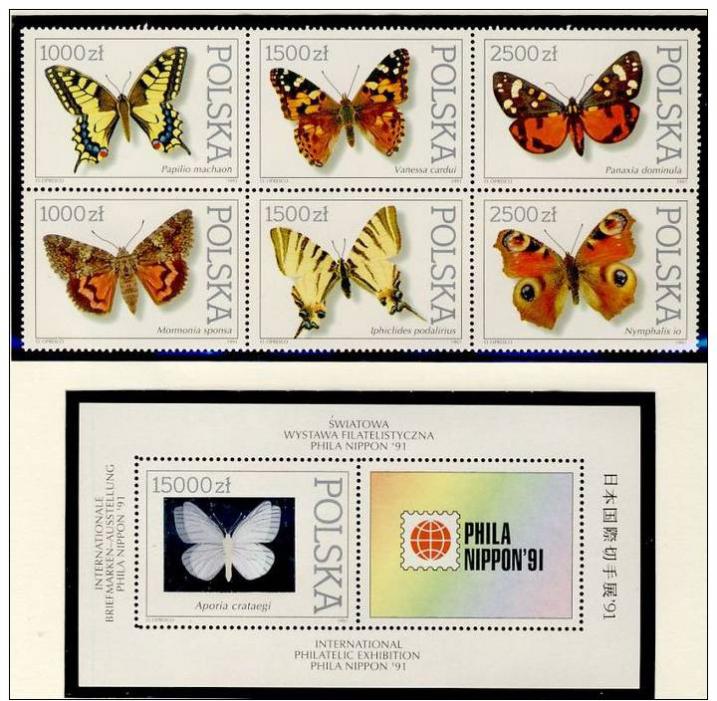 Name:  246-POLAND 1991 BUTTERFLIES MNH- 95k.jpg
Views: 568
Size:  93.5 KB