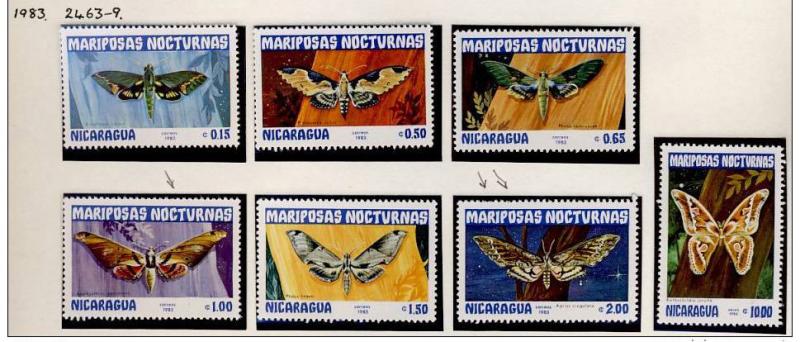 Name:  253-NICARAGUA BUTTERFLIES MNH-400k.jpg
Views: 336
Size:  68.1 KB