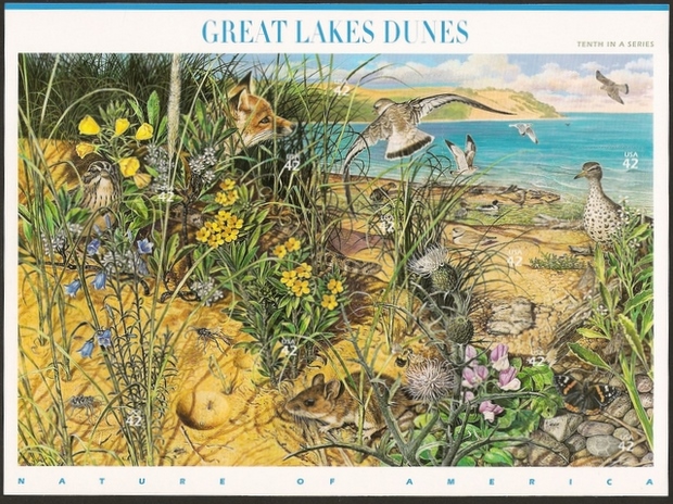 Name:  Great Lake Dunes-1.jpg
Views: 706
Size:  226.3 KB