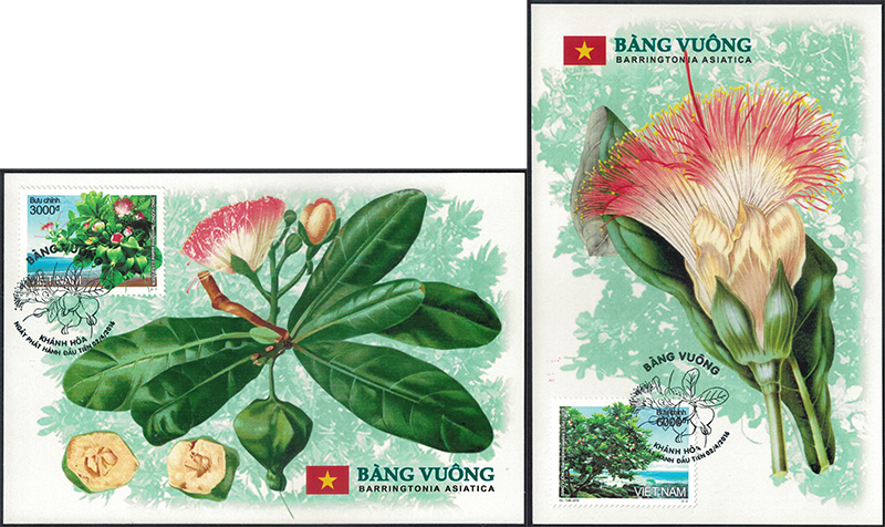 Name:  vietstampdotnet_MC Bang Vuong_Cu Bim.jpg
Views: 546
Size:  440.4 KB