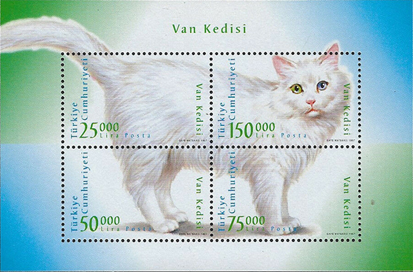 Name:  Turkish Van_TNK.jpg
Views: 254
Size:  258.0 KB