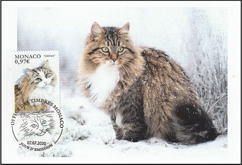 Name:  Siberia cat.jpg
Views: 423
Size:  149.0 KB