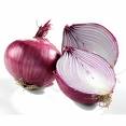 Name:  onionpic.jpg
Views: 1025
Size:  2.7 KB