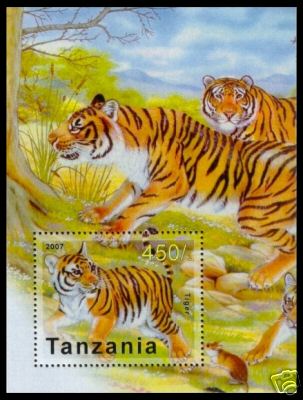 Name:  tiger_tanzania.JPG
Views: 467
Size:  33.0 KB