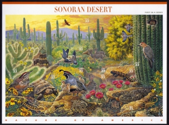 Name:  01-Sonoran Desert.JPEG
Views: 775
Size:  209.7 KB