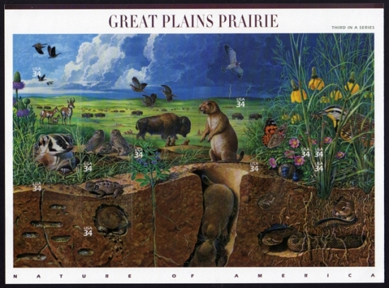 Name:  03-Great plains Prairie.JPEG
Views: 730
Size:  209.4 KB