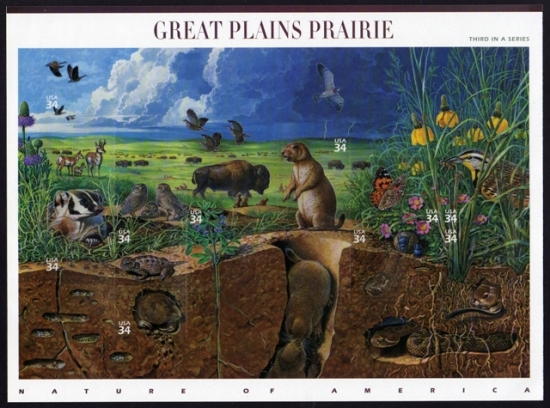 Name:  03-Great plains Prairie.JPEG
Views: 729
Size:  209.4 KB