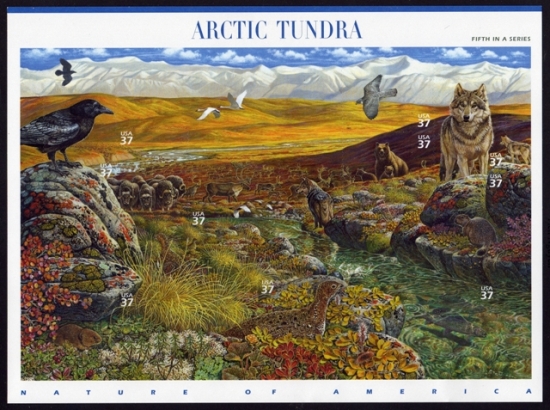 Name:  05-Arctic Tundra.JPEG
Views: 708
Size:  230.2 KB
