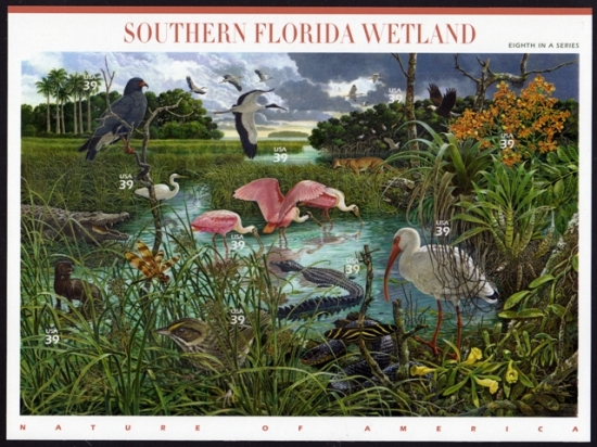 Name:  08-Southern Florida Wetland.JPEG
Views: 674
Size:  233.8 KB