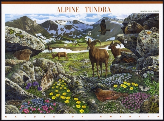 Name:  09-Alpine Tundra.JPEG
Views: 641
Size:  237.9 KB
