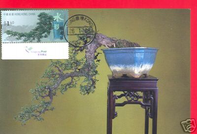 Name:  maxicard-bonsai.JPG
Views: 473
Size:  18.9 KB