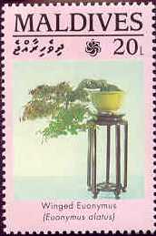 Name:  Maldives1456.jpg
Views: 459
Size:  8.7 KB