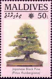 Name:  Maldives1457.jpg
Views: 460
Size:  9.2 KB