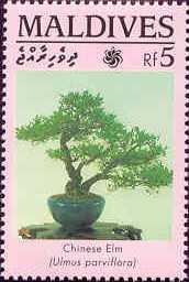 Name:  Maldives1460.jpg
Views: 465
Size:  8.9 KB