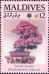 Name:  Maldives1463.jpg
Views: 459
Size:  9.6 KB
