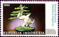 Name:  Indonesia1426.jpg
Views: 433
Size:  8.1 KB