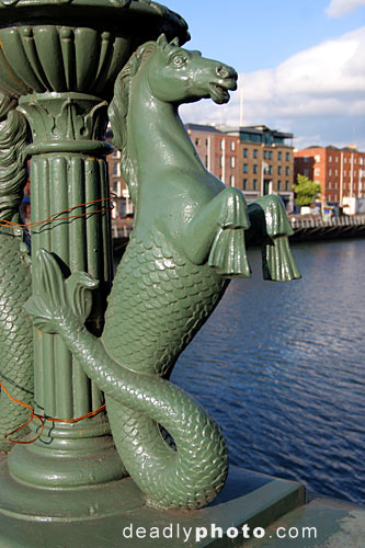 Name:  IMG_2912_sea_horse_dublin.jpg
Views: 9470
Size:  50.7 KB