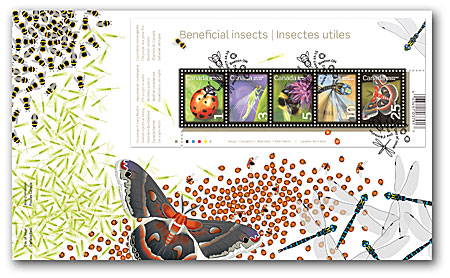 Name:  2007_insects_OFDC.jpg
Views: 603
Size:  85.1 KB