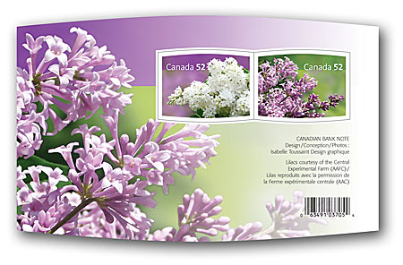 Name:  2007_lilacs_souvenir.jpg
Views: 591
Size:  102.2 KB