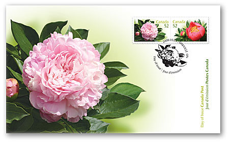 Name:  2008_peonies_ofdc.jpg
Views: 553
Size:  35.7 KB