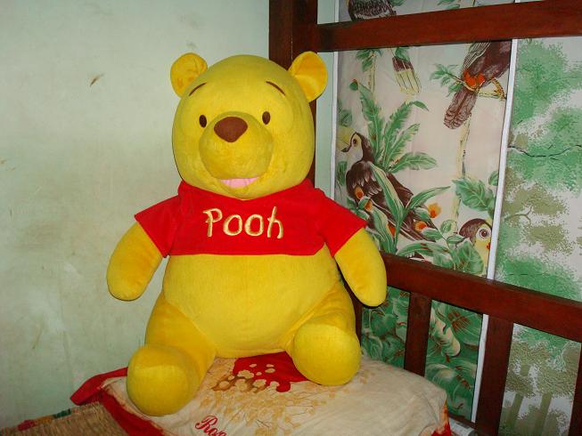 Name:  Pooh.jpg
Views: 634
Size:  70.2 KB