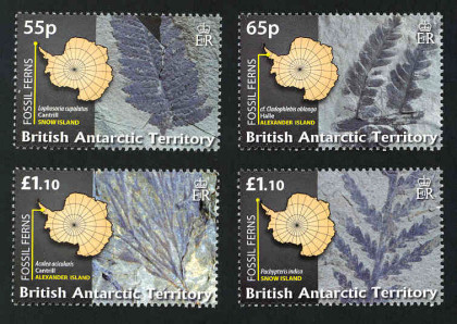 Name:  fossil-ferns.jpg
Views: 454
Size:  61.5 KB