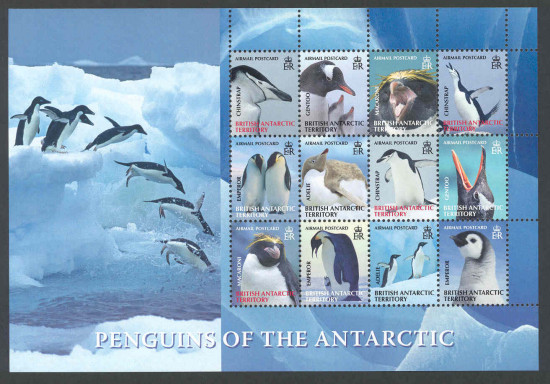 Name:  penguins3-02.jpg
Views: 405
Size:  86.0 KB