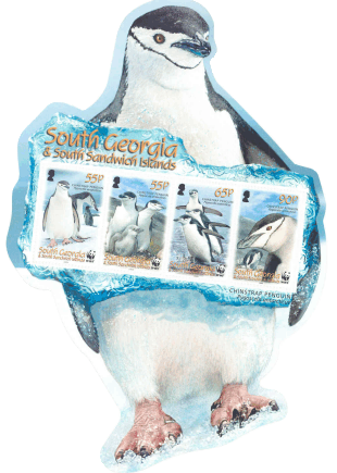 Name:  wwf-chinstrap-penguin-ss1.gif
Views: 306
Size:  70.0 KB