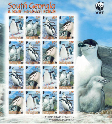 Name:  wwf-chinstrap-penguin-ss2.jpg
Views: 348
Size:  57.2 KB