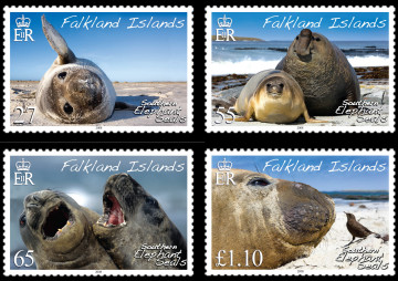 Name:  southern-elephant-seals.jpg
Views: 329
Size:  49.3 KB