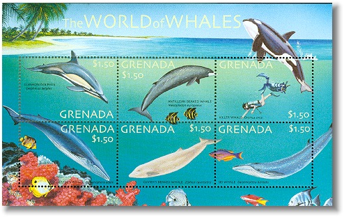 Name:  gra0217sh3diver-whale.jpg
Views: 1706
Size:  83.4 KB