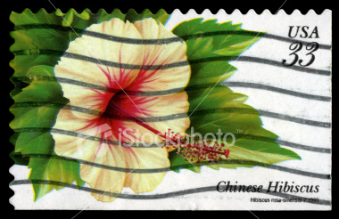 Name:  ist2_5743781-hibiscus-postage-stamp.jpg
Views: 3240
Size:  66.2 KB