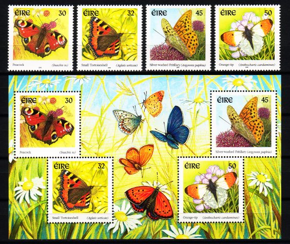 Name:  virusloves_butterflies_ireland_557.jpg
Views: 1568
Size:  118.8 KB