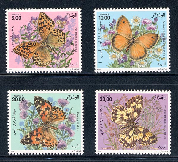 Name:  algeria_10_butterflies_1070-1073.jpg
Views: 997
Size:  106.4 KB