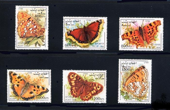 Name:  afghanistan_16_1478-1483_butterflies.jpg
Views: 919
Size:  76.0 KB