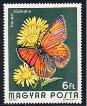 Name:  hungary_21_bfly-moth.jpg
Views: 428
Size:  14.1 KB