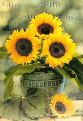 Name:  sunflower vase.jpg
Views: 240
Size:  31.9 KB