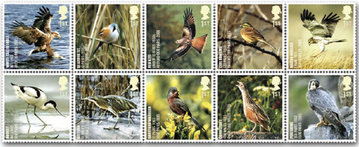 Name:  070904-endangeredbirds.jpg
Views: 454
Size:  76.4 KB