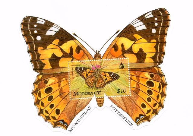 Name:  Butterfly ss.shape.jpg 2.jpg
Views: 324
Size:  52.3 KB