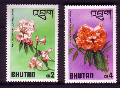 Name:  Bhutan.jpg
Views: 1025
Size:  195.3 KB